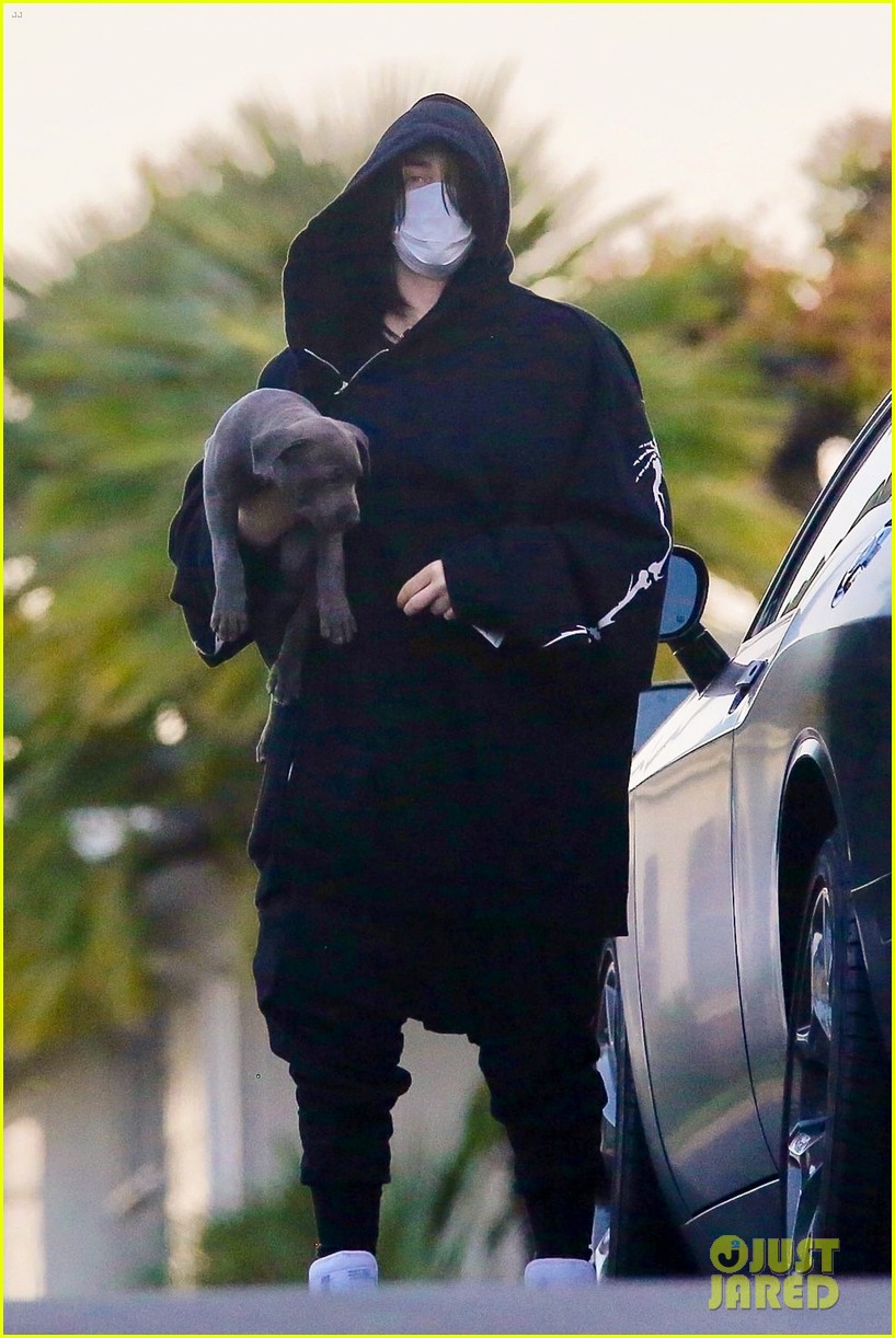 billie eilish out with her dog 01