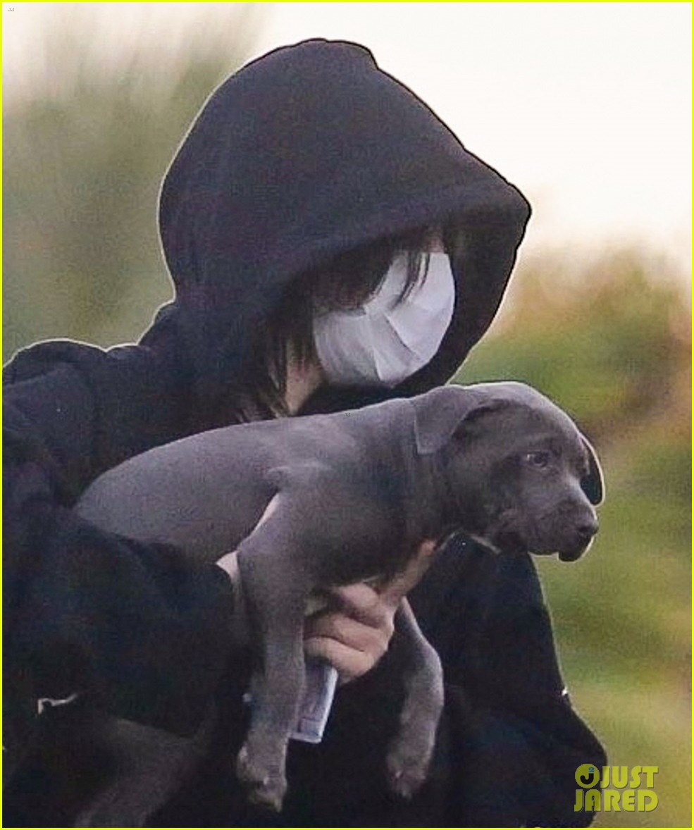 billie eilish out with her dog 02