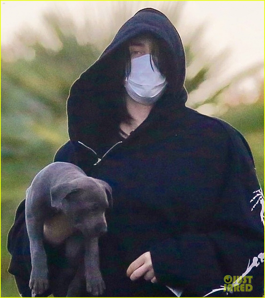 billie eilish out with her dog 04