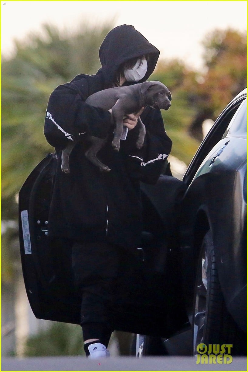 billie eilish out with her dog 05