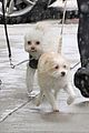 camila mendes madelaine petsch walk their dogs in the snow 03