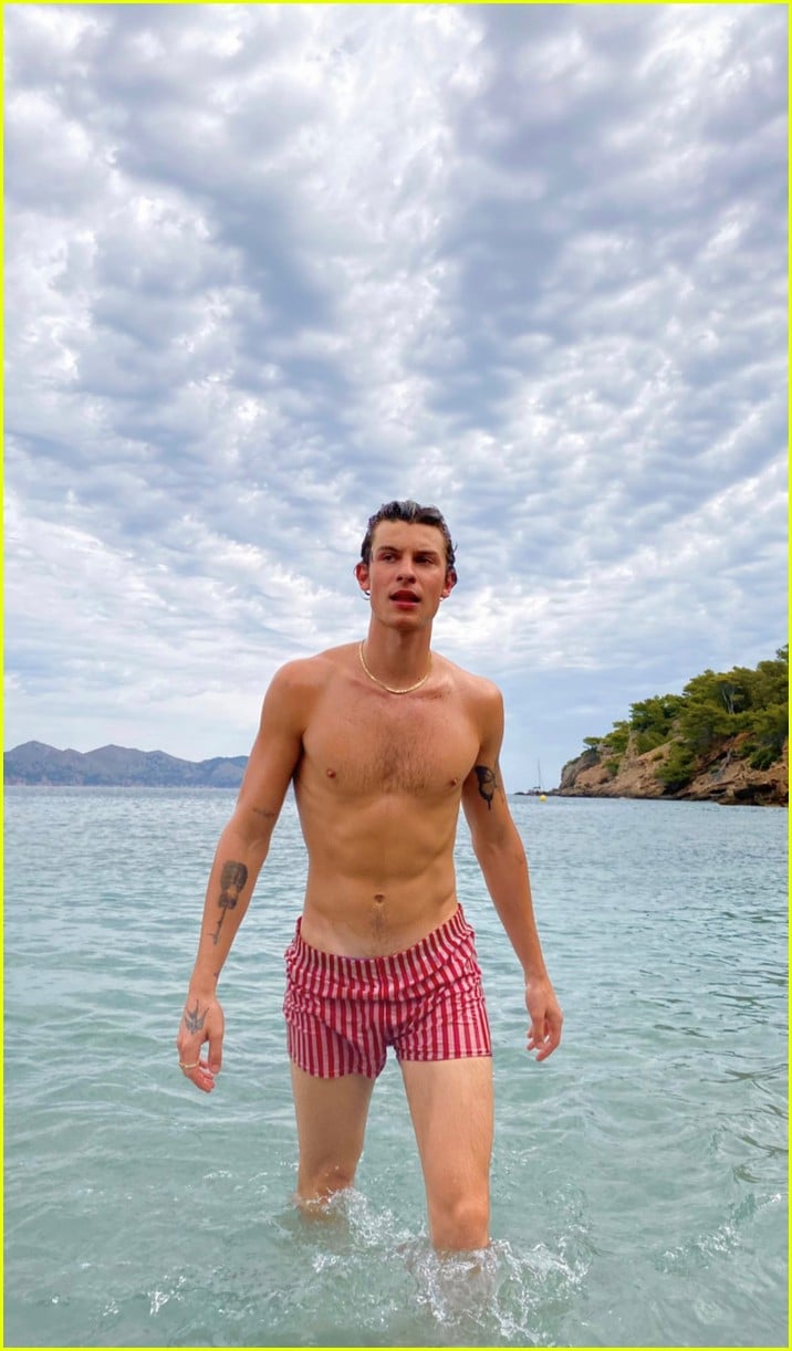 Shawn Mendes Sends Fans Into Frenzy With New Shirtless Photos Photo Photo Gallery