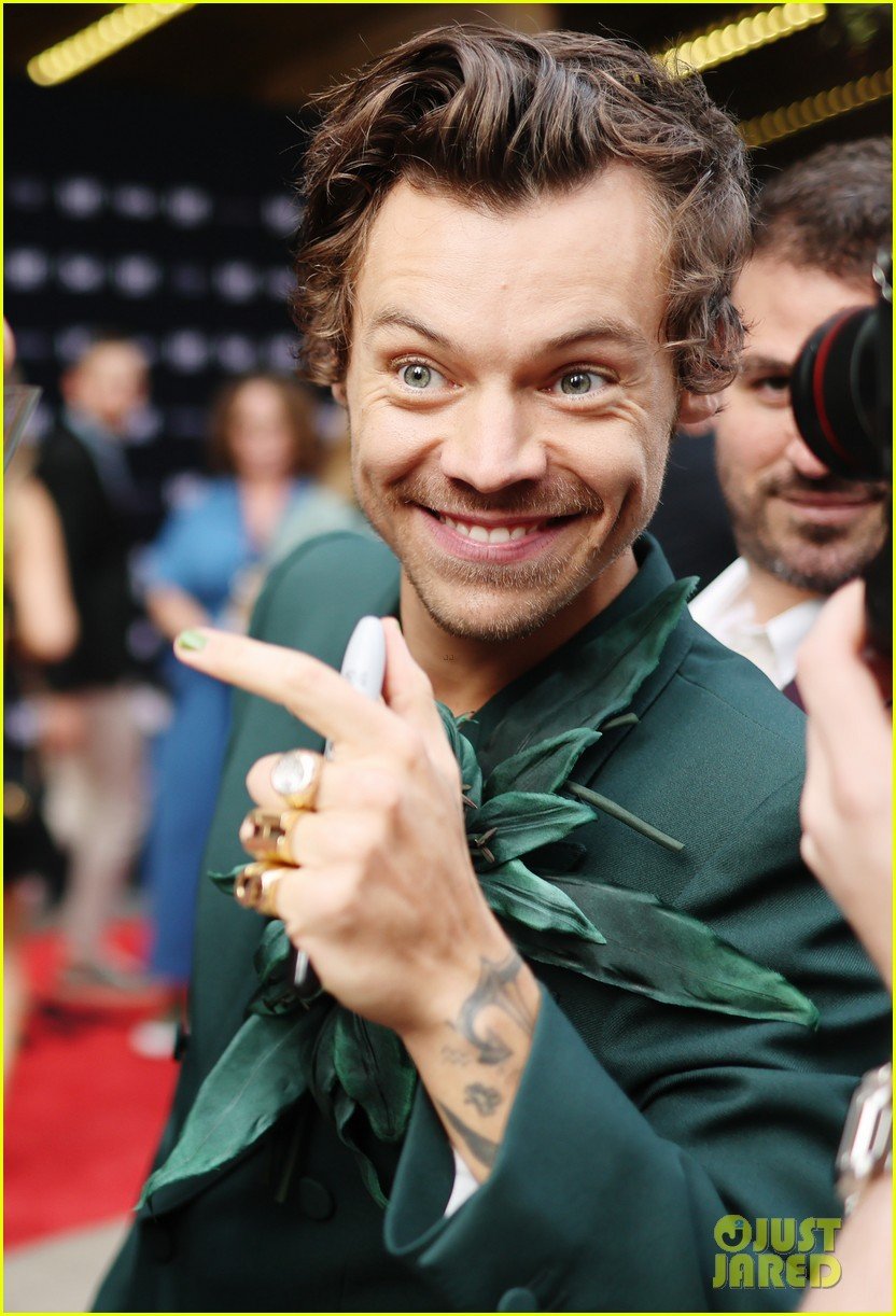 Harry Styles Doesn T Miss The Fans During My Policeman Premiere During Tiff Photo