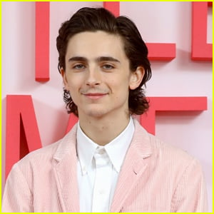 Timothee Chalamet to Play Music Icon Bob Dylan in New Movie!