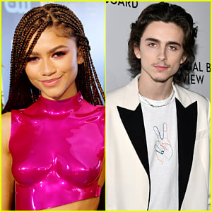 Zendaya & Timothee Chalamet Spotted Shopping Together at Bed Bath & Beyond