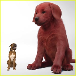 First Look Teaser & Release Date for 'Clifford The Big Red Dog' Revealed - Watch