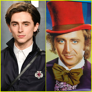 Timothee Chalamet Will Star As Young Willy Wonka In New Movie Musical