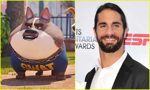 Seth Rollins's Dog Gone Trouble character