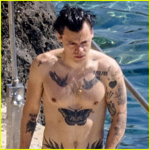Shirtless Harry Styles Looks So Hot in These New Photos from Italy!