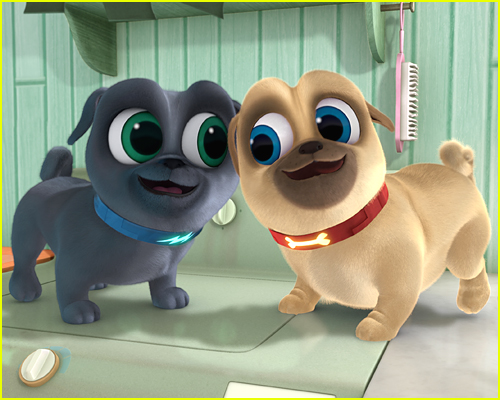 Puppy Dog Pals had 100 episodes or more on Disney Channel