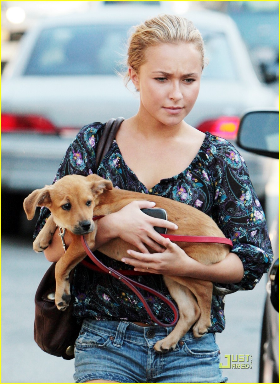 Full Sized Photo of hayden panettiere happy hero 10 | Hayden Panettiere ...