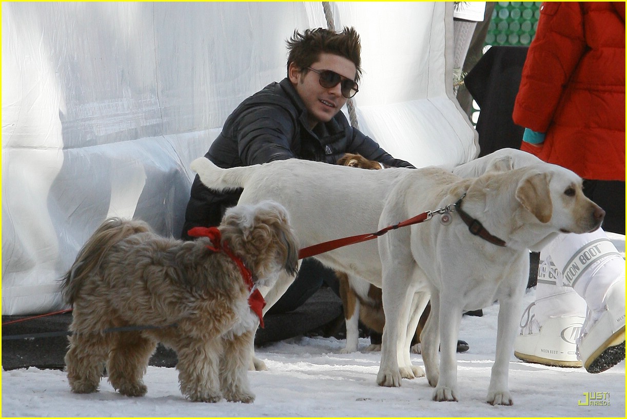 Zac Efron is a Dog Lovin' Dude Photo 352997 Photo Gallery Just(02)