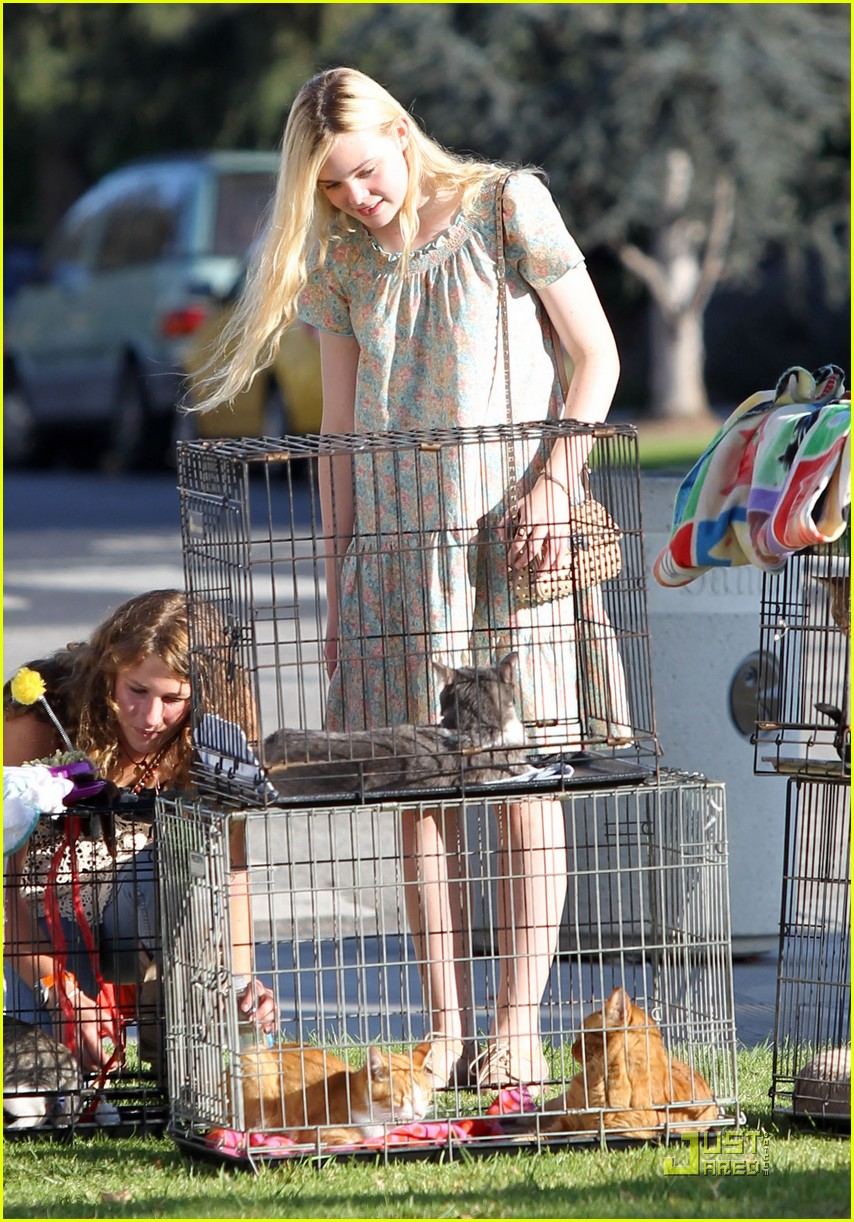 elle fanning cat lady 05