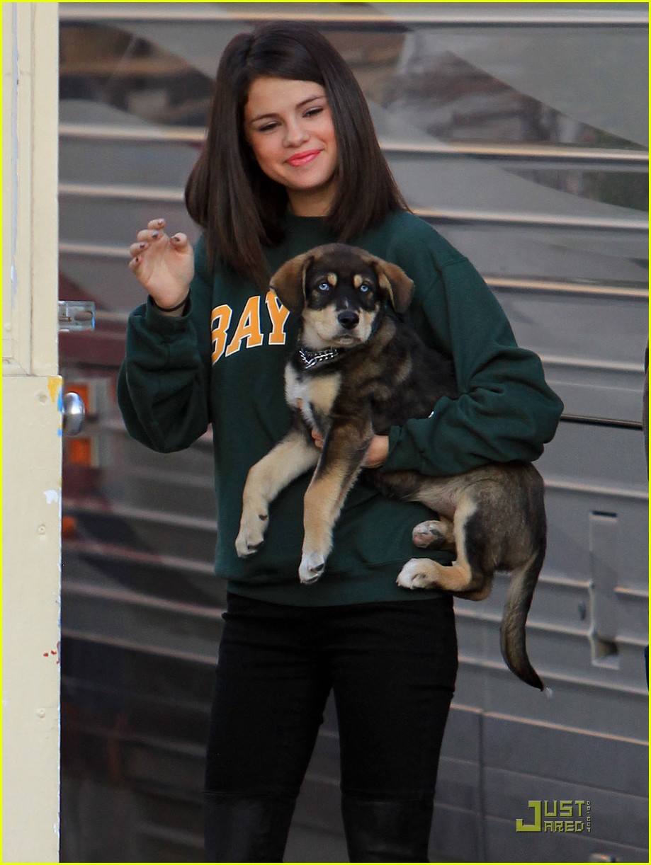 Selena Gomez Plays With Her New Puppy | Photo 444066 - Photo Gallery ...