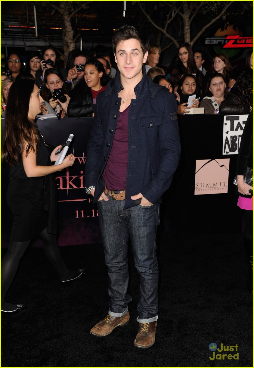 David Henrie Fakes