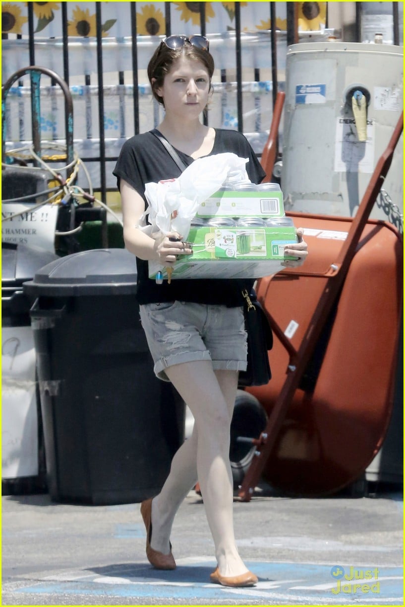 Full Sized Photo of anna kendrick home decorator 04 | Anna Kendrick ...