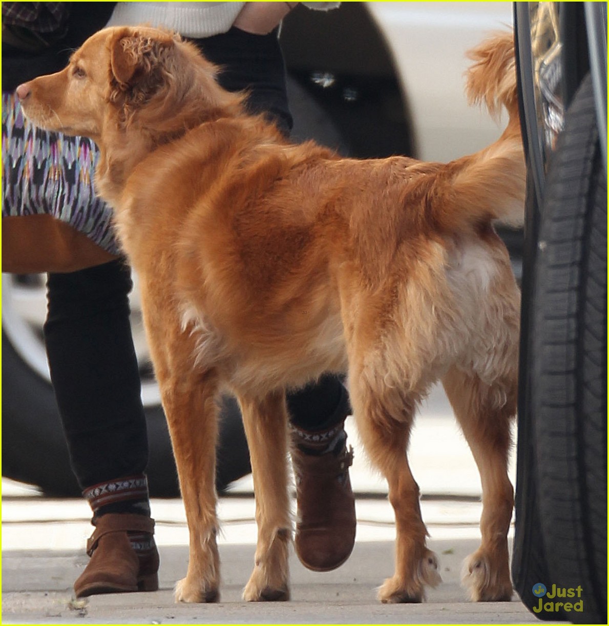 Full Sized Photo of lively dog set 06 Blake Lively 'Gossip Girl' Set