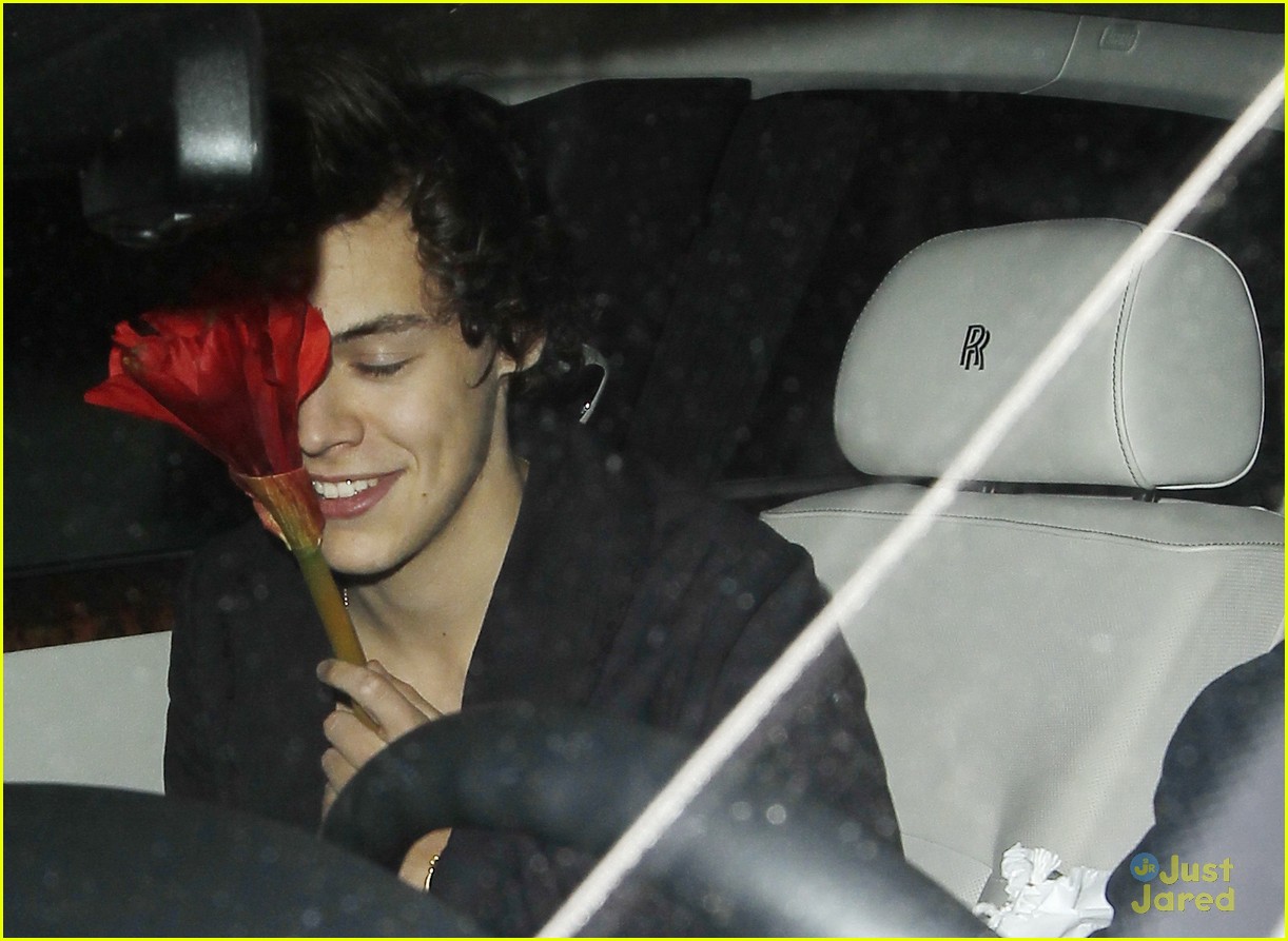 Harry Styles leaving Dan Tana's Restaurant after having dinner with Rod  Stewart Featuring: Harry Styles Where: West Hollywood, CA, United States  When: 26 Apr 2013 Stock Photo - Alamy