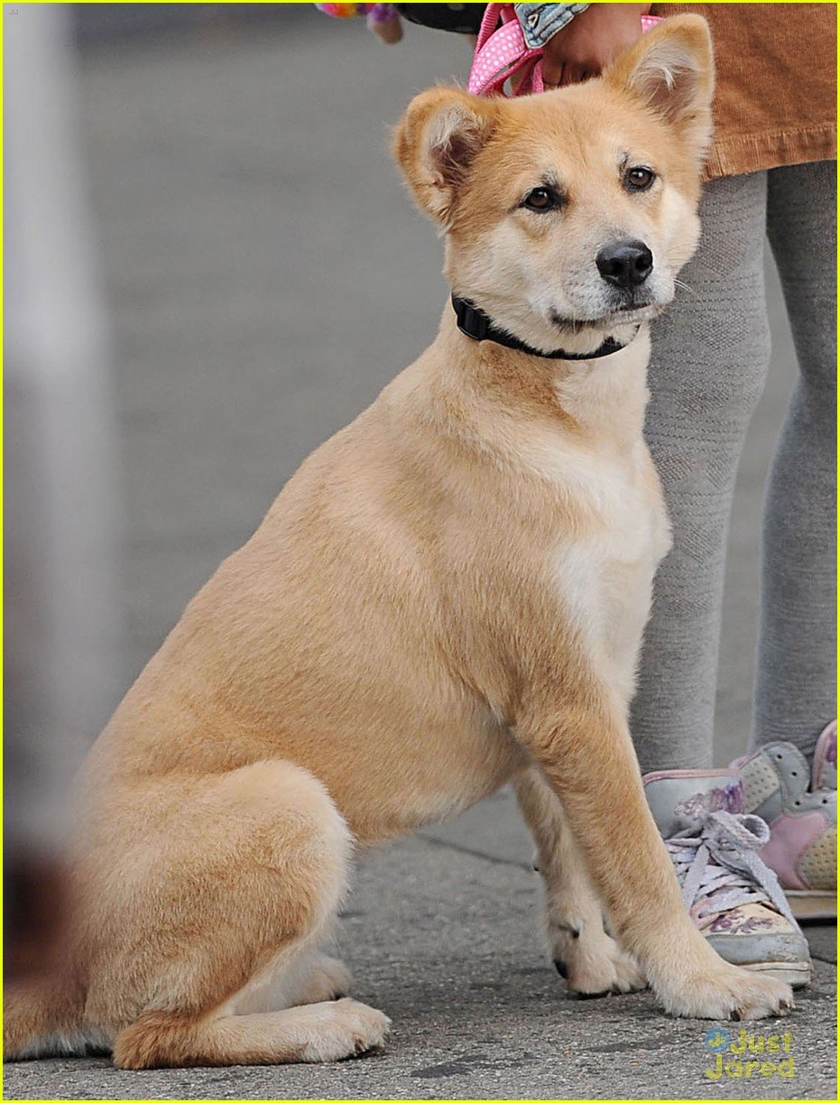 Quvenzhane Wallis 'Annie' Filming with Sandy! Photo 607254 Photo