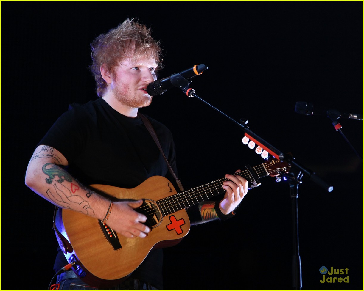 Ed Sheeran Gingerbread Man For Halloween Concert Photo 613357