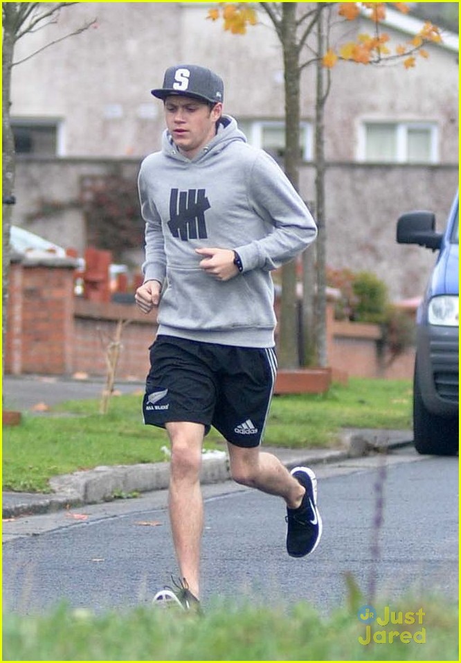 Niall Horan: Fan Friendly in Ireland: Photo | Niall Horan, One Direction Pictures | Just Jared Jr.