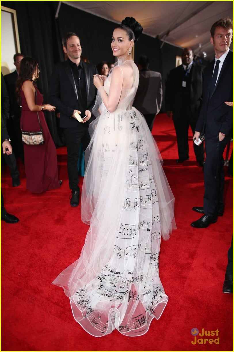 Katy Perry - Grammys 2014 Red Carpet | Photo 638783 - Photo Gallery ...