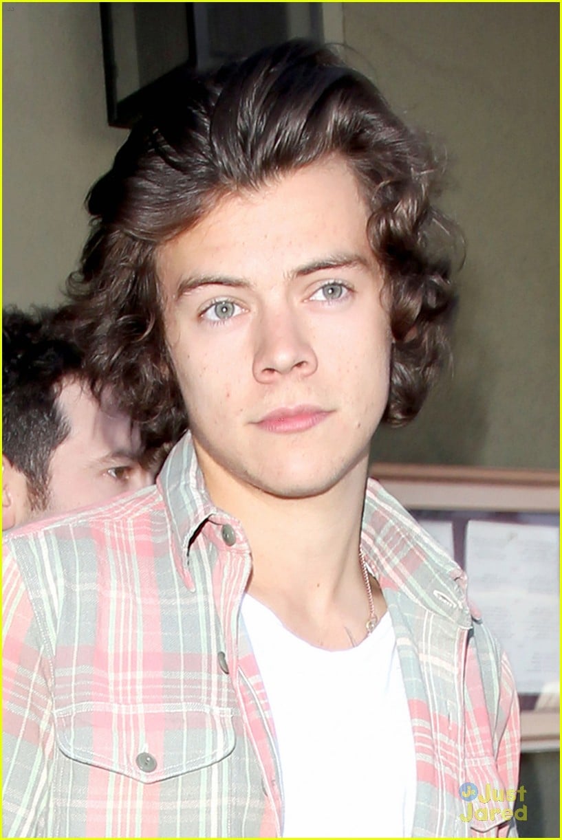 Harry Styles Braves Sea of Paparazzi for Lunch in West Hollywood: Photo  651986, Harry Styles, One Direction Pictures