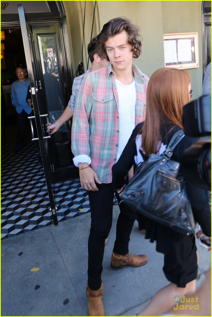 Harry Styles Braves Sea of Paparazzi for Lunch in West Hollywood, Harry  Styles, One Direction