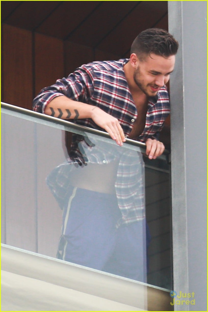 The Complete Guide To Nicole And Liam Paynes Relationship
