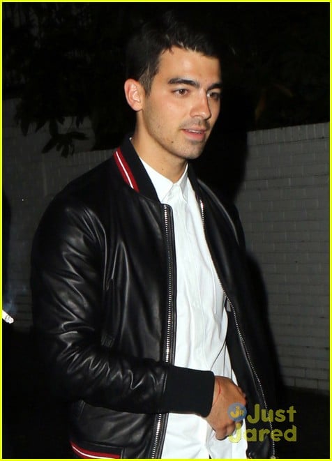 Joe Jonas is a Fan of Cat Sweaters, You Guys | Photo 692033 - Photo ...