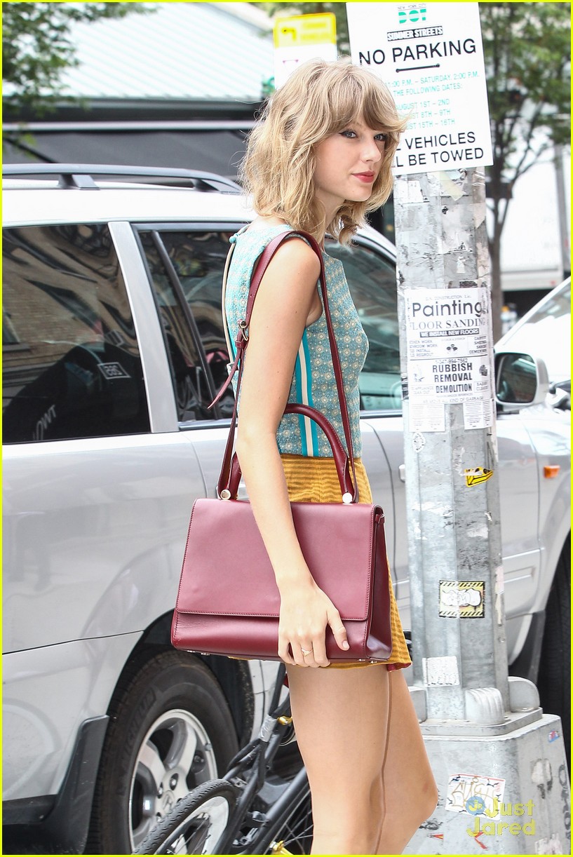 taylor swift birkin