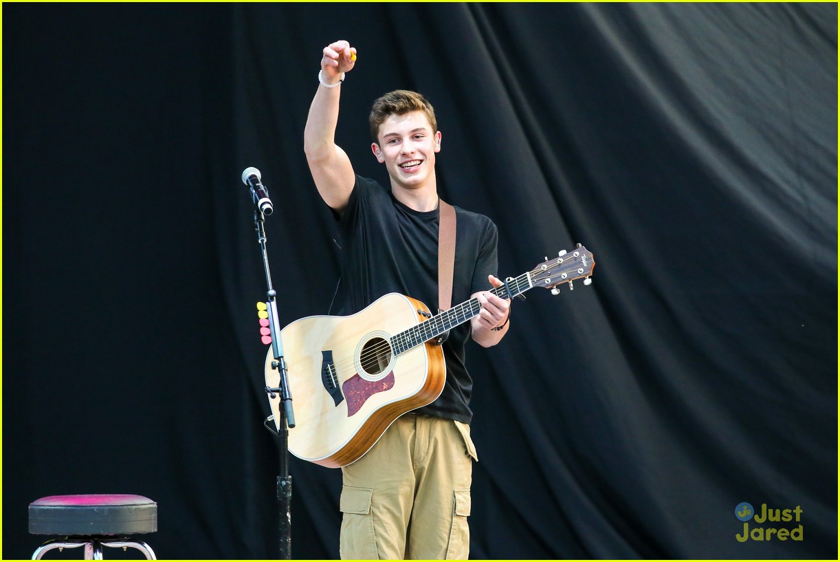 Shawn Mendes visual data 5