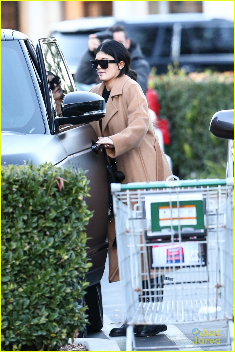 Kylie Jenner Shows Off Her Amazing Figure While Grocery Shopping ...