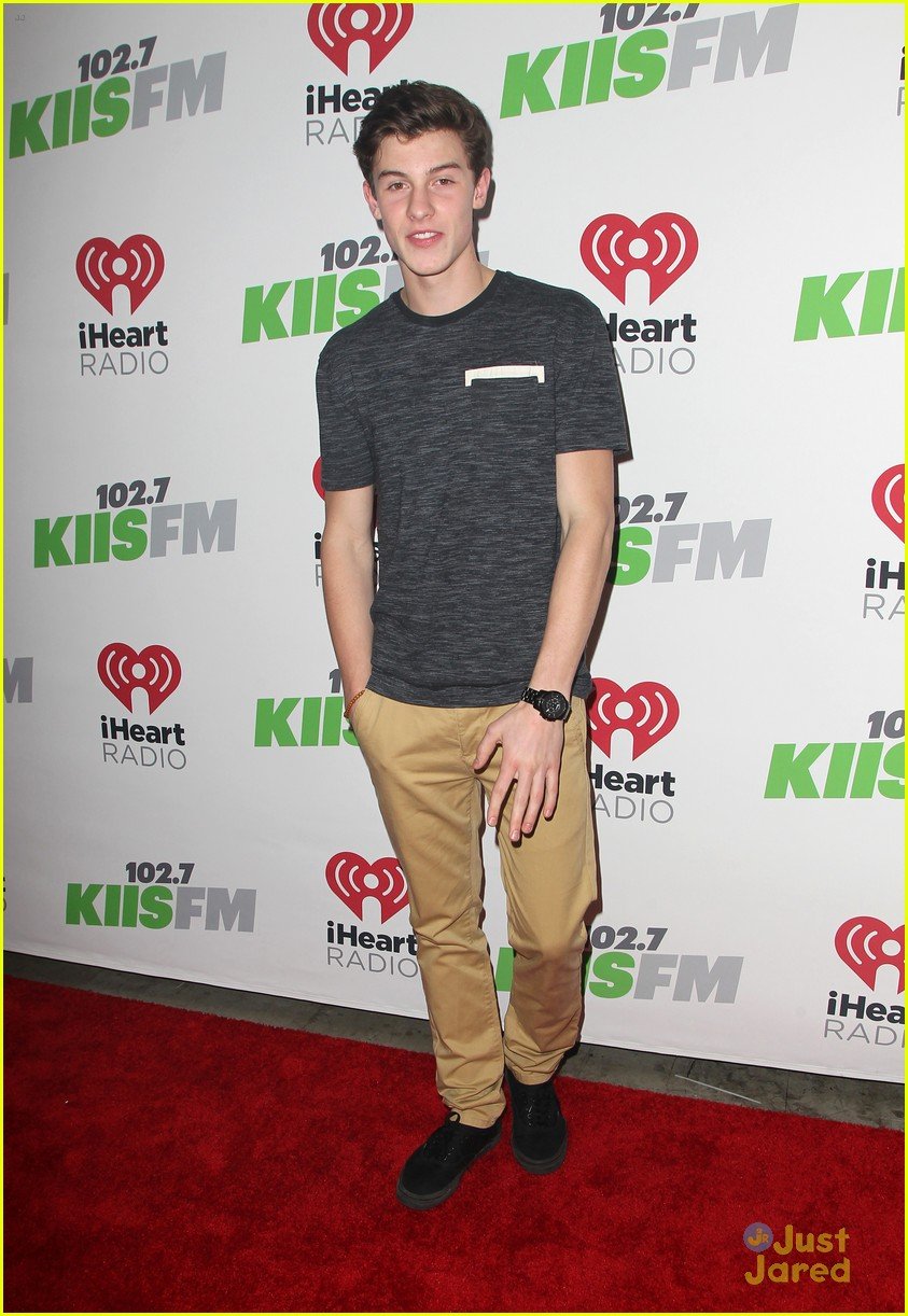 Shawn Mendes Is The 'life Of The Party' At Kiis Fm's Jingle Ball 