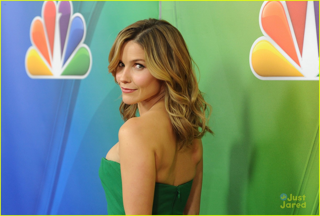 Full Sized Photo of sophia bush nbc winter tca party 03 | Sophia Bush