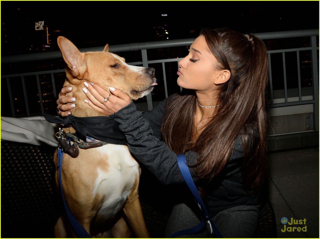 how much dogs does ariana grande have