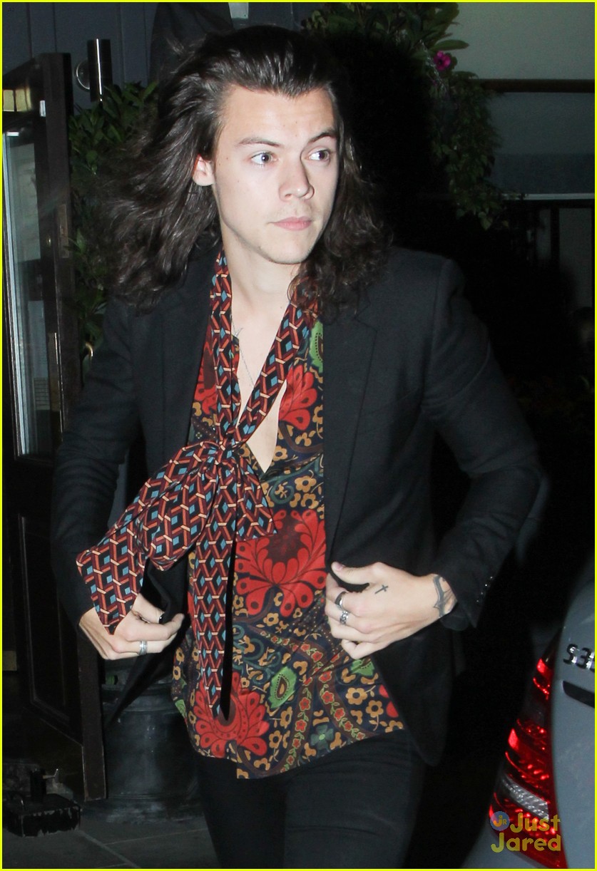 Harry Styles Reportedly Hooking Up With Victoria's Secret Model Sara ...