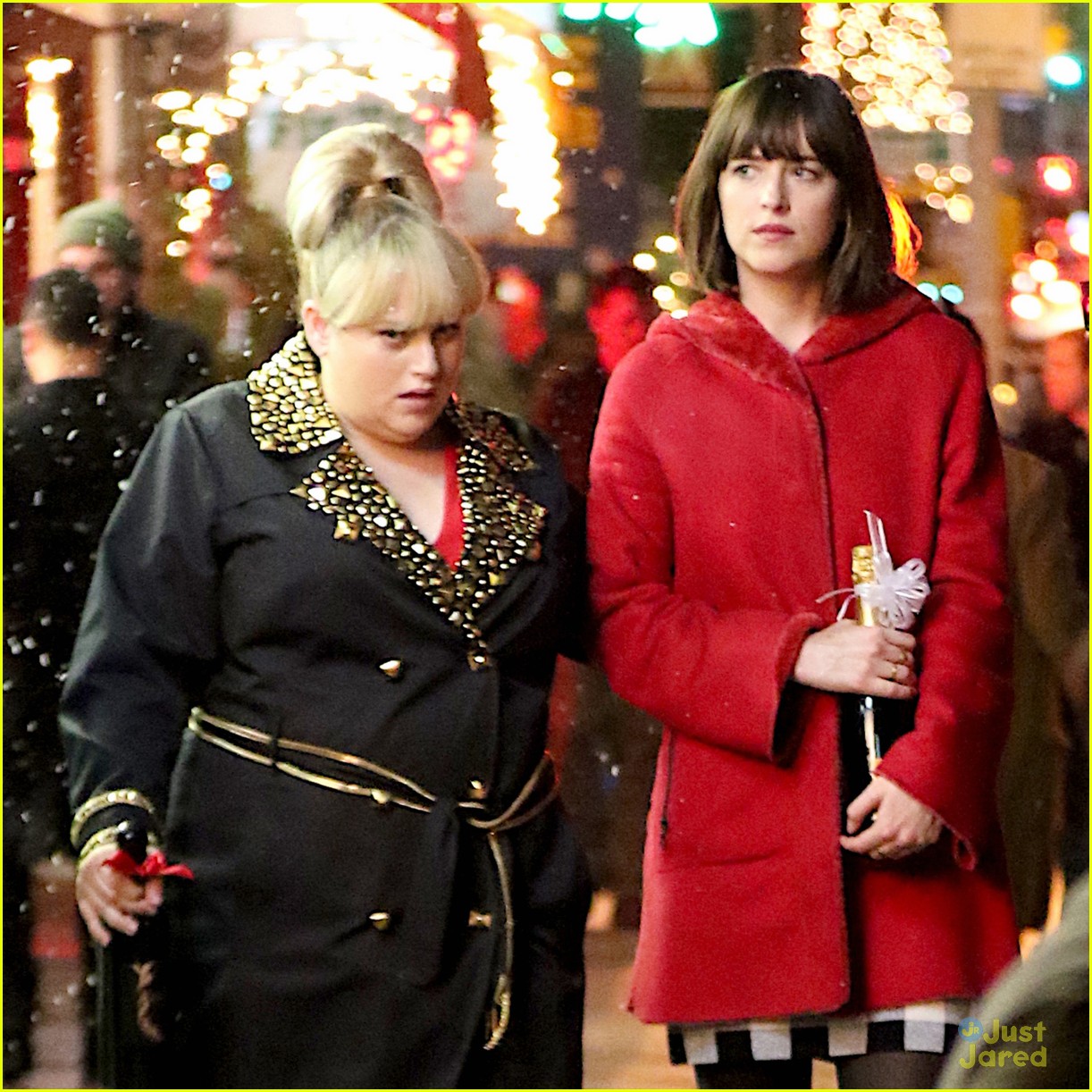 Rebel Wilson And Dakota Johnson Hold Hands For How To Be Single Scenes Photo 828269 Photo 