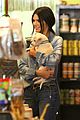 kendall jenner adopts puppy 18