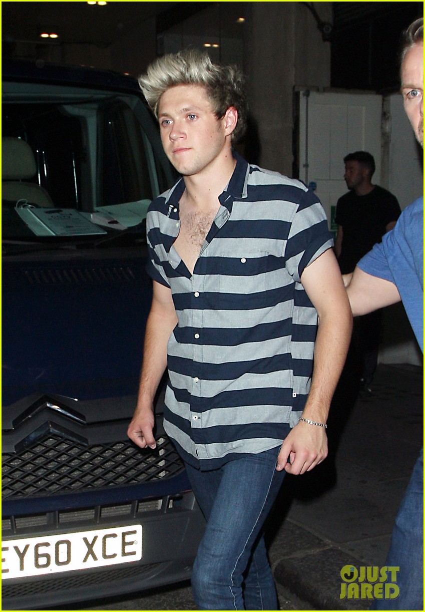 One Direction's Niall Horan Smells Like 'Green Fields,' Says Liam Payne