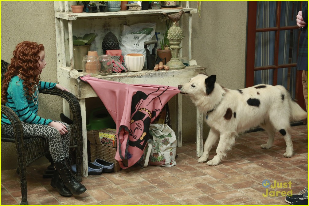 Who Destroyed Avery S Dress Find Out On Dog With A Blog Tonight Photo 842114 Blake Michael Dog With A Blog Francesca Capaldi G Hannelius Lj Benet Television Pictures Just Jared Jr