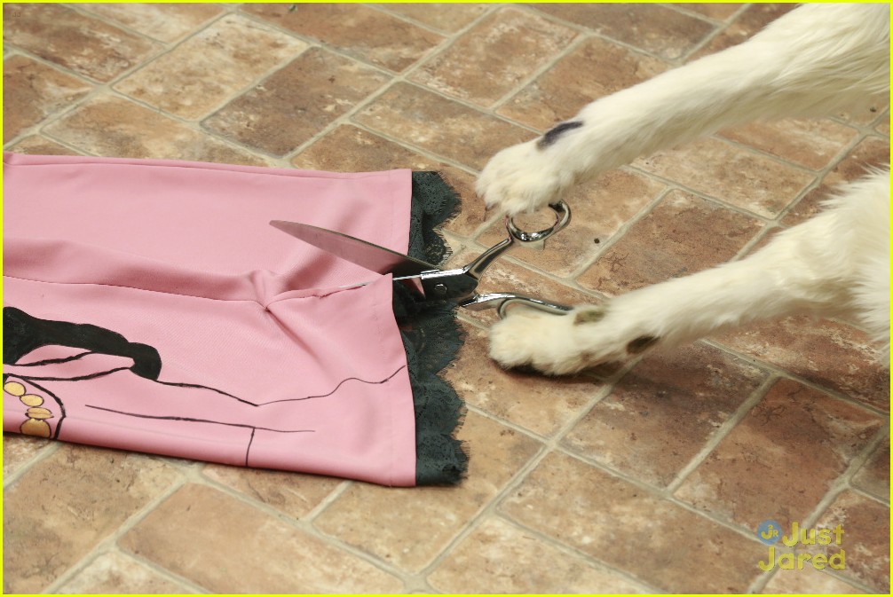 Who Destroyed Avery S Dress Find Out On Dog With A Blog Tonight Photo 842114 Blake Michael Dog With A Blog Francesca Capaldi G Hannelius Lj Benet Television Pictures Just Jared Jr