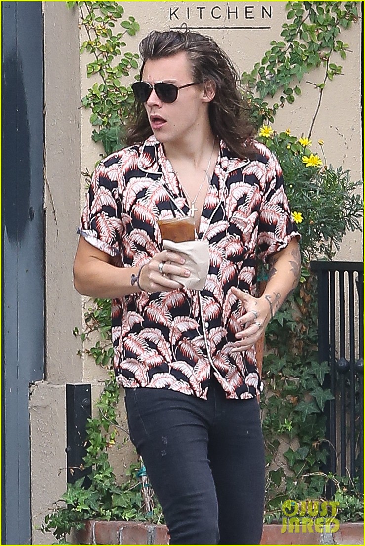 Harry Styles Lets His Long Hair Run Wild During Coffee Stop | Photo ...