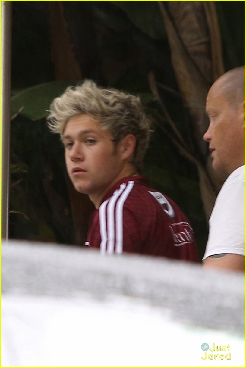 Niall Horan Hits the Gym After Hanging Out With Justin Bieber & Cody