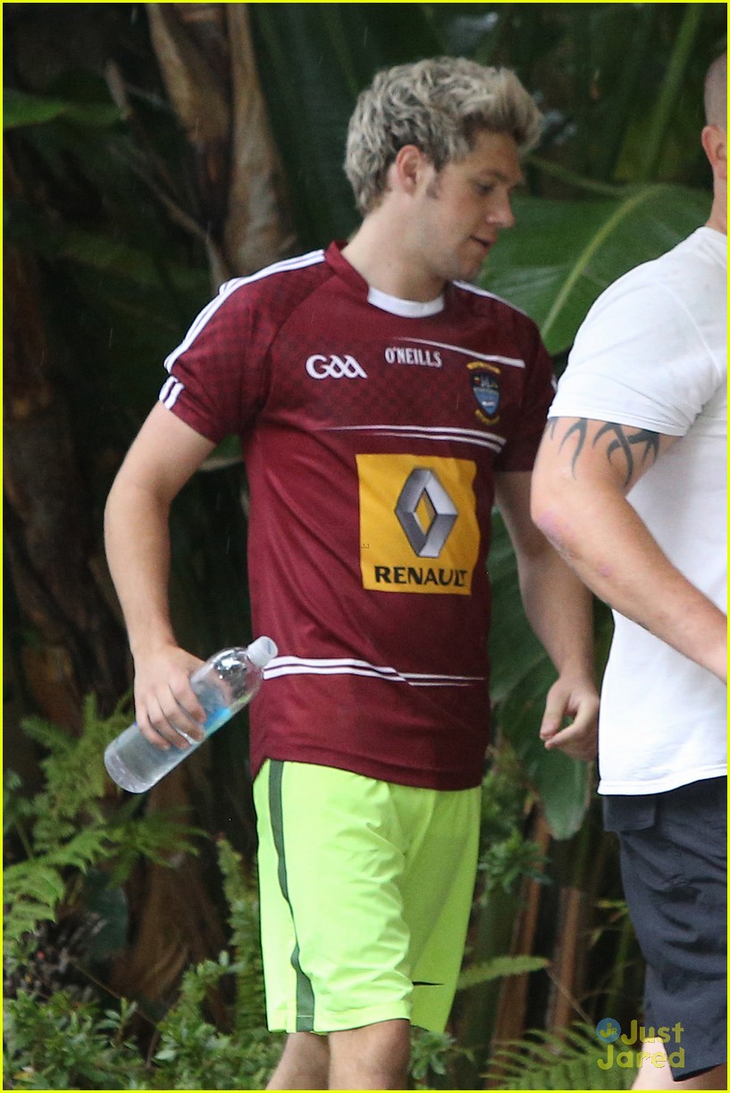Niall Horan Hits the Gym After Hanging Out With Justin Bieber & Cody