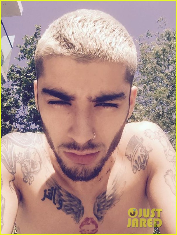Zayn Malik Takes To Twitter After Cancel Your Engagement Zayn Hashtag Trends Photo 834580 