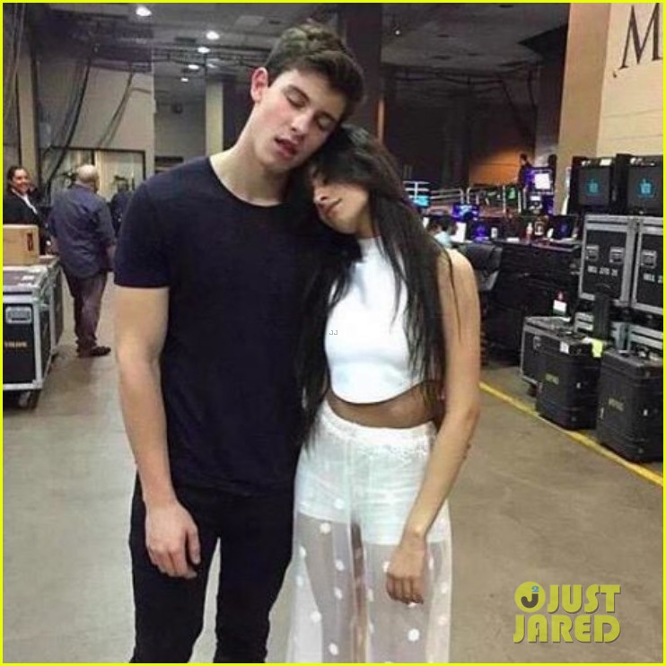 Camila Cabello Denies Dating Shawn Mendes Photo 869328 Photo(02)