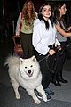 ariel winter holds on to furry friend 05