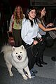 ariel winter holds on to furry friend 06