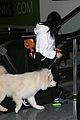 ariel winter holds on to furry friend 09